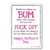 Mother's Day Wipe Bum Card